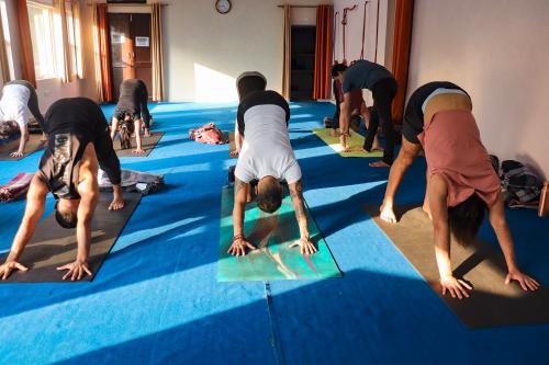 yoga