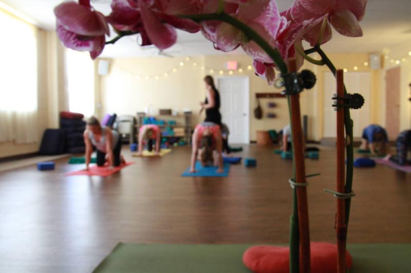 orchid in foreground of yoga class